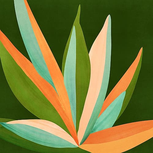 Colorful Agave 1 Minimalist Print