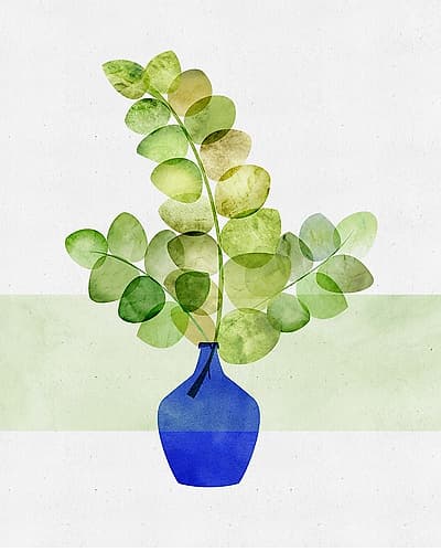 Eucalyptus Houseplant Illustration Nature Print