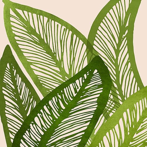 Green Tropics Sq Art Print
