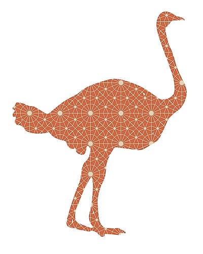 1 Animal Patterns 26 Art Print