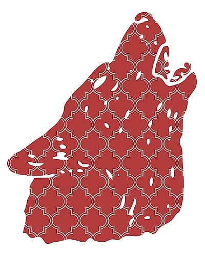 1 Animal Patterns 09 Art Print