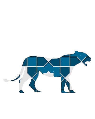 1 Animal Patterns 34 Art Print