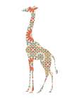1 Animal Patterns 42 Art Print