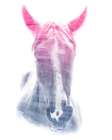 0003 Animal Watercolor Art Print