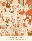 Black Maps Earth Tones 36 Art Print