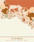 Black Maps Earth Tones 35 Art Print