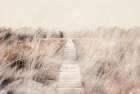 Dreamy landscape Art Print