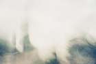 Dreamy trees Art Print
