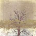 Dreamy landscape in winter Art Print