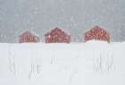Red boat houses in the snow Art Print