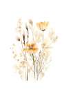 Natures golden beauty Art Print