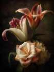 Vintage Flowers 5 Art Print