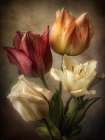 Vintage Flowers 4 Art Print