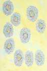 Wow Happiness Art Print