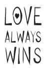 Love Wins Art Print