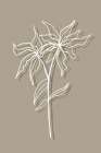 Flower Shade Art Print