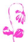 Pink Flower Art Print
