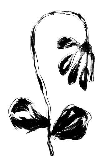 Black Flower Art Print