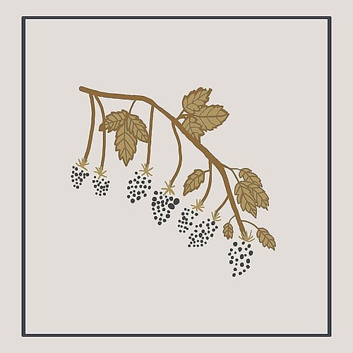 Blackberry Spring Minimalist Print