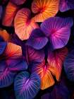 Colourful Leaves 4 Art Print