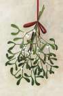 Mistletoe bouquet with bow Kitchen Print