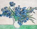 Vincent Van Goghs Irises (1890). Art Print