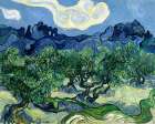 Vincent Van Goghs Olive Trees With The Alpilles In The Background (1889) Art Print
