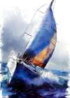 Yacht racing sport art 29 Coastal Print