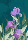 Iris Flower Turquoise Art Print