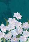 Narcissuss Flowers Turquouise Art Print