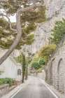 Streets of Capri Art Print