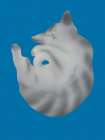 Silver cat portrait Art Print