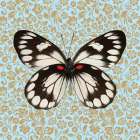 Butterfly #1 Art Print