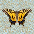 Butterfly #4 Art Print