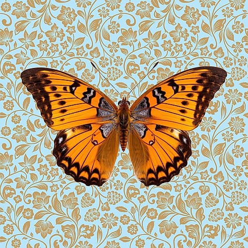 Butterfly #6 Art Print by Sue Skellern