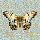 Butterfly #11 Art Print