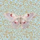 Butterfly #12 Art Print