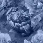 Big Indigo Art Print