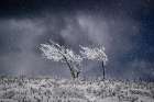 Covered in SNOW. Art Print