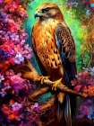 Falcon bird animal Art Print