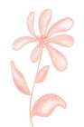 Peach Flower1 Art Print