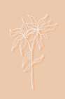 Peach Flower Shade Art Print
