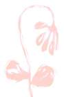 Peach Bloom Art Print