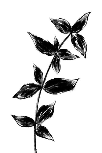 Black Plant1 Minimalist Print