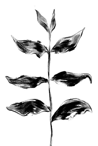 Black Plant Nature Print