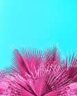 Electric Pink Palm Fronds Art Print