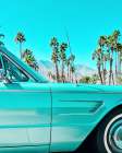 Teal Thunderbird in Palm Springs Art Print