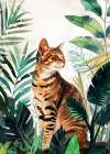 CatAnd#039;s life 8 Art Print