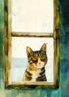 CatAnd#039;s life 7 Art Print