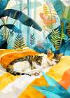 CatAnd#039;s life 1 Art Print